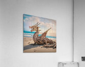 DRIFTWOOD DRAGON XII Acrylic Print