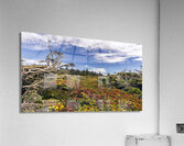Toundra  Acrylic Print