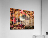 Tufted Titmouse in Autumn Foliage  Acrylic Print