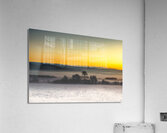 Le viel orme  Acrylic Print