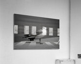 Seagull in Black and White  Acrylic Print