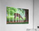 Morning Grazing  Acrylic Print
