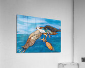 Upscales.ai 1704361148634 Cartoonize Effect Acrylic Print