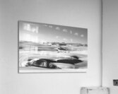 2160714 Acrylic Print