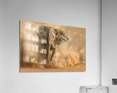 Desertstorm Acrylic Print