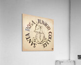 Vintage Santa Rosa Junior College Bear Cub Art Acrylic Print