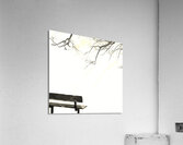 Solitary Contemplation  Acrylic Print