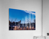 High On The Mountain Acrylic Print