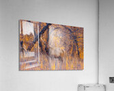 Wichita Mountain Elk Acrylic Print