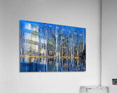 Reflection Acrylic Print