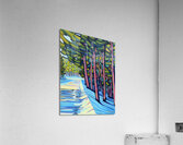 North Point Road Acrylic Print