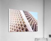 SCALES I Acrylic Print