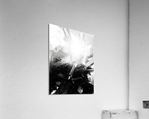 SPACE JUNK I Acrylic Print