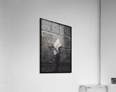 IMG 5539 Acrylic Print