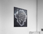 Imports   4 of 5 Acrylic Print