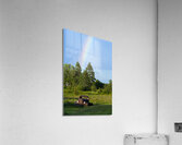 Rainbow by Old Truck in Field in Northern Maine Acrylic Print