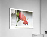LE VOYAGE D UN PAS Acrylic Print