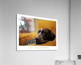 PRESSEZ LA DETENTE Acrylic Print