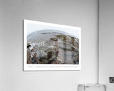 MER EST MERE Acrylic Print