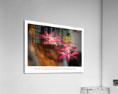 POIDS PLUME Acrylic Print
