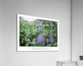 LES CLOCHETTES Acrylic Print