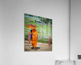 Saffron in the paddy fields Acrylic Print