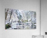 G04 Fresh Snow Cotton Hollow Acrylic Print