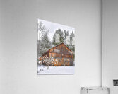 G20 Among the Pines Acrylic Print