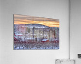 G06 Belltown Orchards Under Snow Acrylic Print