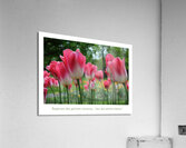 OSE Acrylic Print