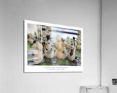 LE BRASSAGE D IDEES Acrylic Print