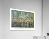 LE MIROIR Acrylic Print