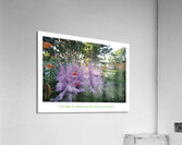 LES FLEURS D ARTIFICES Acrylic Print