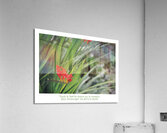 LE TREMPLIN Acrylic Print