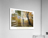 UNE FAMILLE DE SENS Acrylic Print