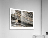 LA PRESSION Acrylic Print