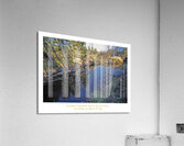 AU FEU Acrylic Print