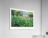 A VUE DE NEZ Acrylic Print