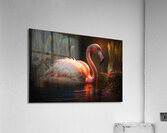 Flamingo Dreams Acrylic Print