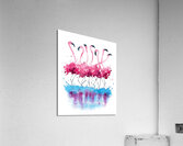 Flamingo Tango 1 Acrylic Print