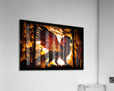 Griffin King Acrylic Print