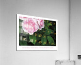 VUE DU BALCON Acrylic Print