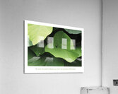 LES PETITS DETAILS Acrylic Print