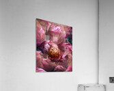The Heart of Tantra  Acrylic Print