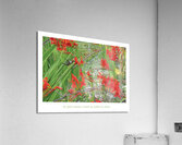 BUFFET A VOLONTE Acrylic Print