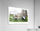 LES VACHES PETROLIERES Acrylic Print