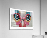T270hd Acrylic Print