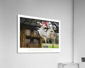 LA FIERTE Acrylic Print