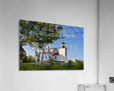 Birch Trees by Fort Point Lighthouse in Midcoast Maine Acrylic Print