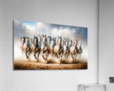 Majestic Race - GIA2401-0158-OIL Acrylic Print